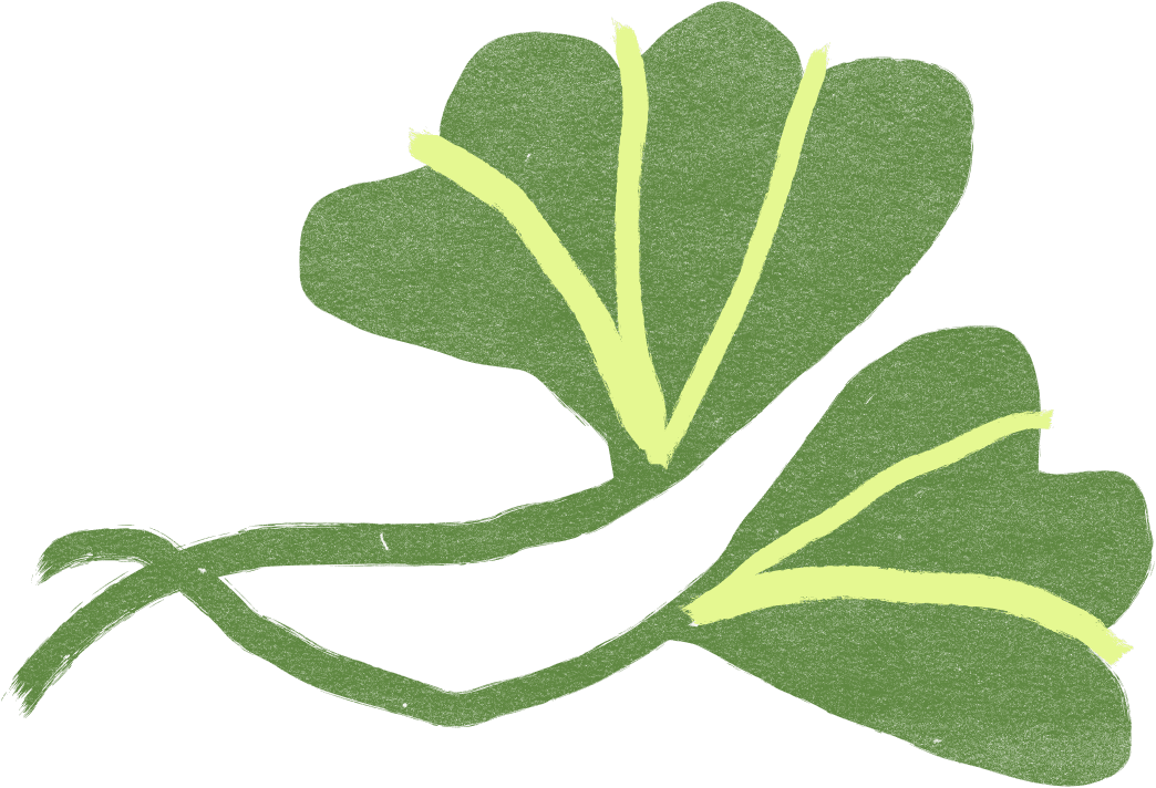 Grain-textured ginkgo leaf pair in apple green with bright yellow-green veins