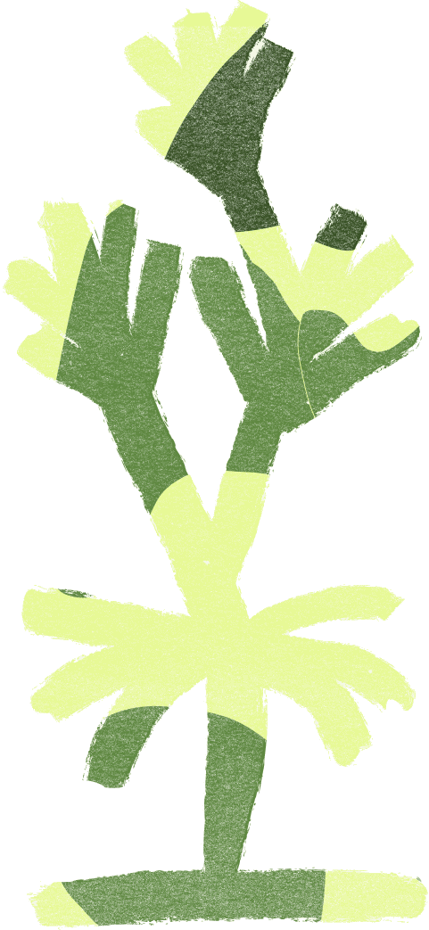 Grain-textured plant illustration in two greens, a branching stem with broad
                    fanned leaves